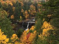 Blackwater Falls State Park