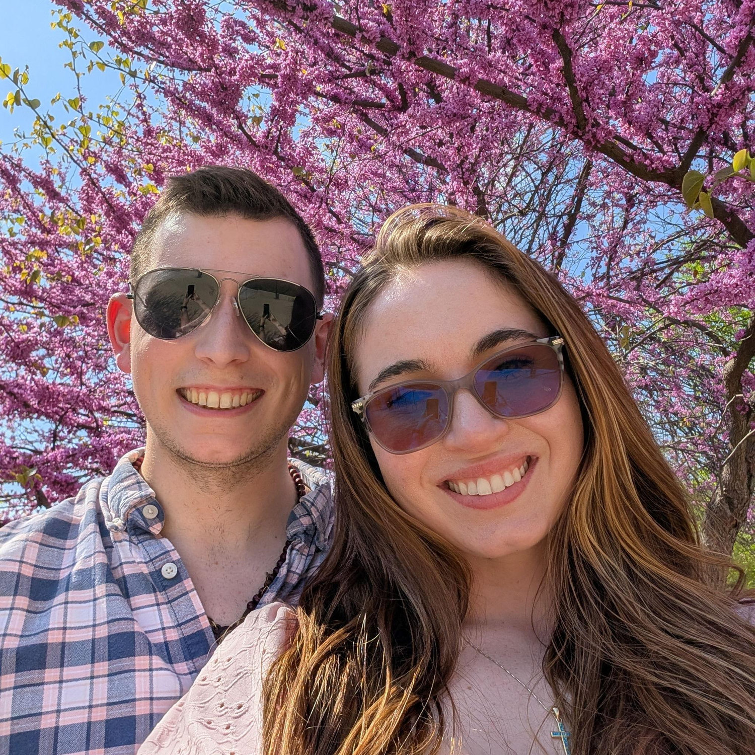 Cherry Blossom Festival, Washington D.C.