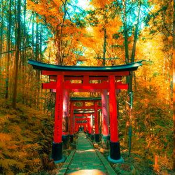 Museums and Cultural Sites