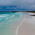 Tortuga Bay