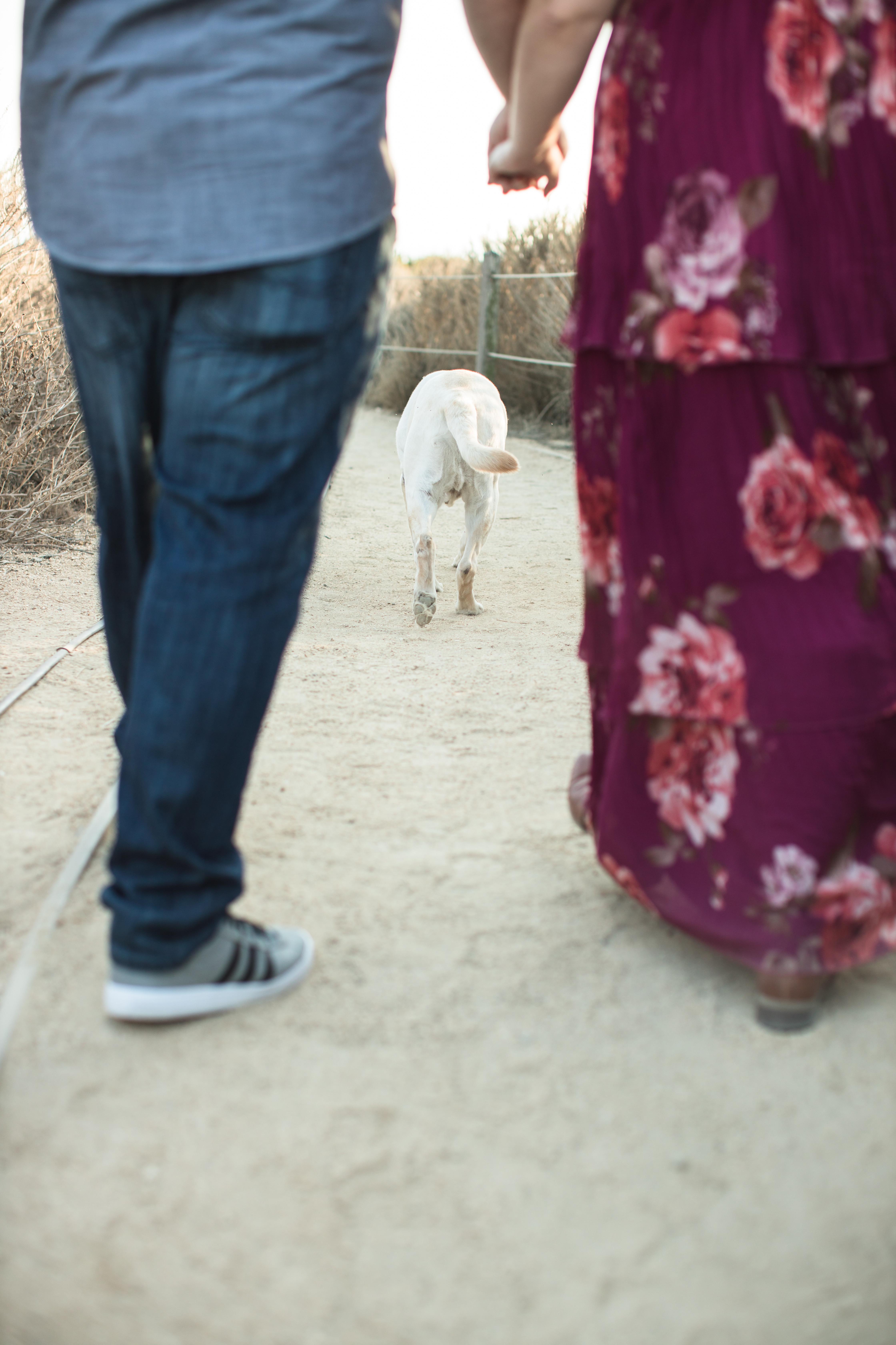 The Wedding Website of Kaitlin Hobbs and Michael Ellison