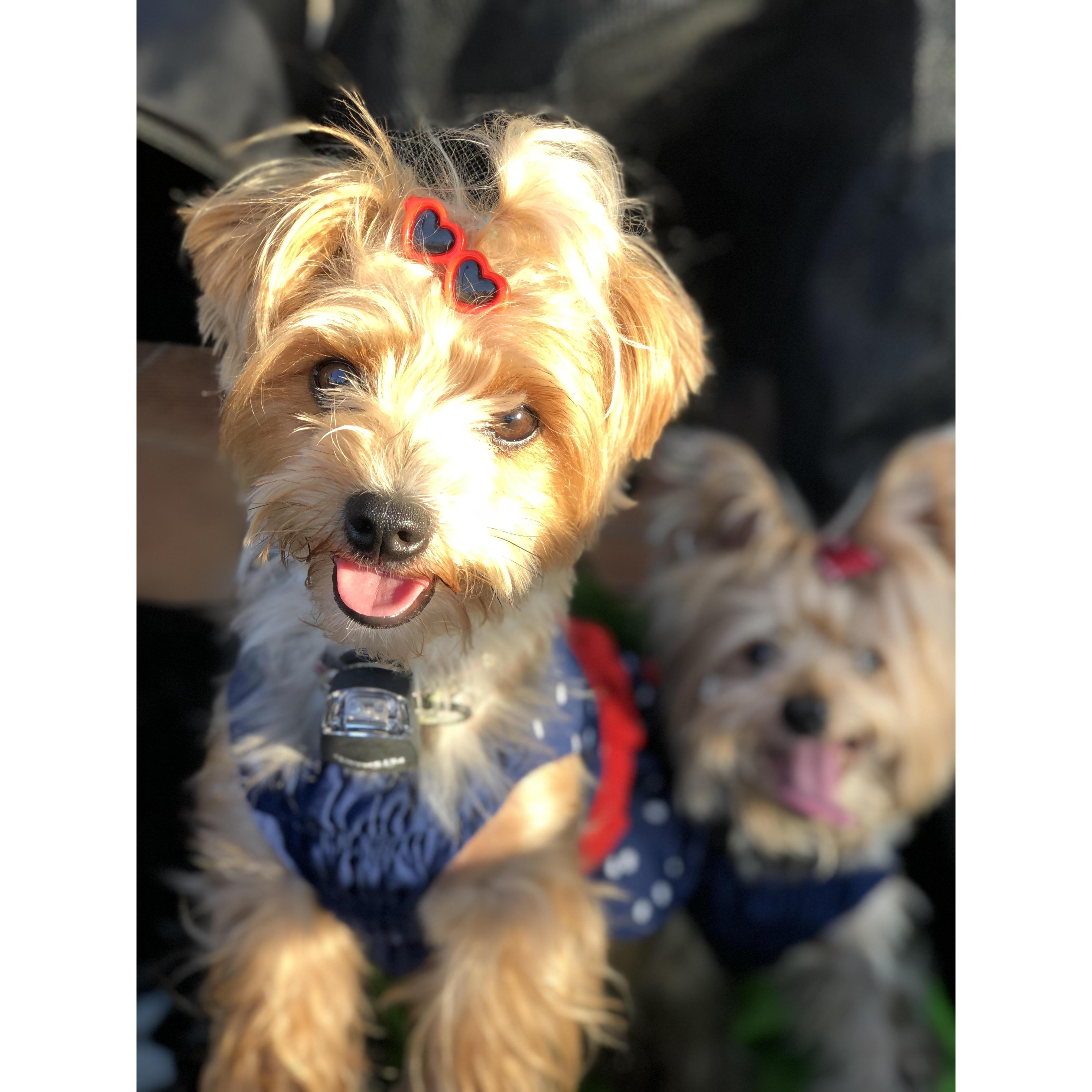 We will miss our girls!! Lady Sugar Kane & Miss Molly Pocket!