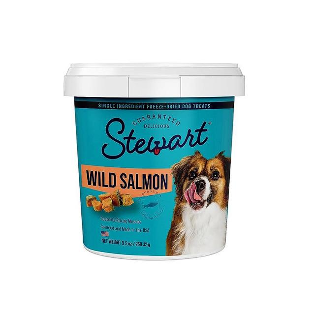 Stewart Freeze Dried Dog Treats, Wild Salmon, Grain Free & Gluten Free, 9.5 Ounce Resealable Tub, Single Ingredient, Made in USA, Dog Training Treats