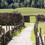 Jack London State Historic Park