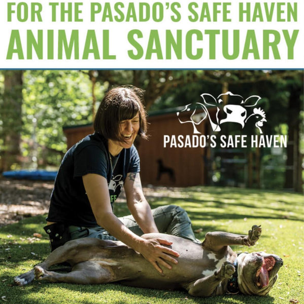 Donate to Pasado’s Safe Haven