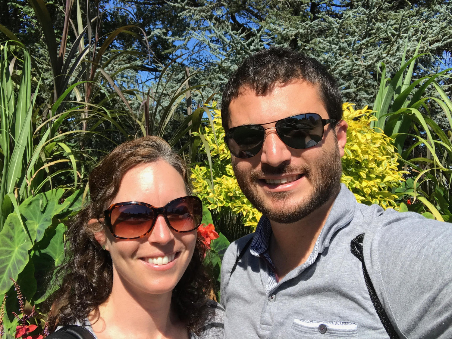 The Wedding Website of David Lindenbaum and Natalie Weinstein