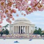 Jefferson Memorial