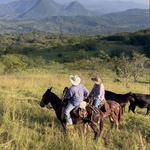 Horseback Riding in El Retiro
