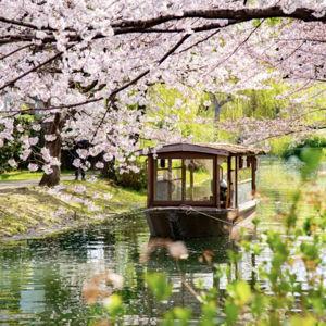 Honeymoon in Japan!