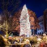 Geneva Christmas Walk, Santa Visit, and Carriage Rides!