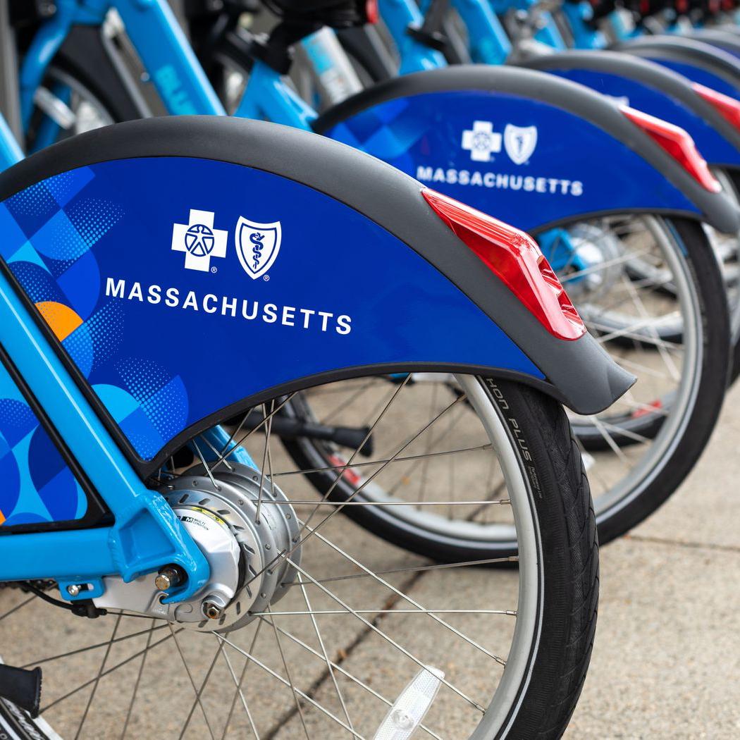 Annual Blue Bike Membership