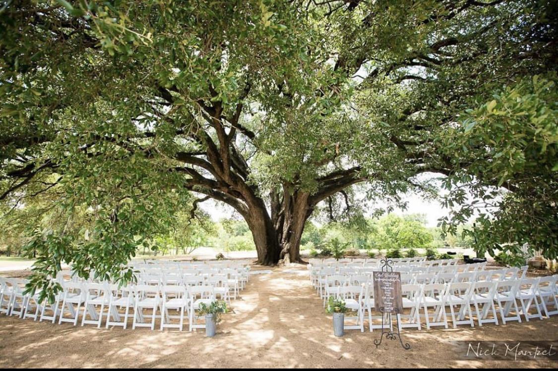 The Wedding Website of Lauren Abeita and Austin Doherty