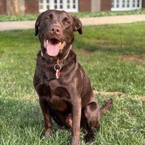 Buy Waylon a treat!