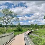 Huntley Meadows Park