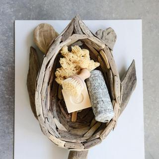 Waterside Driftwood Turtle Bowl