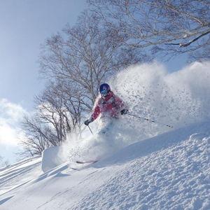 Hokkaido Powder Ski Day- Gear Rentals