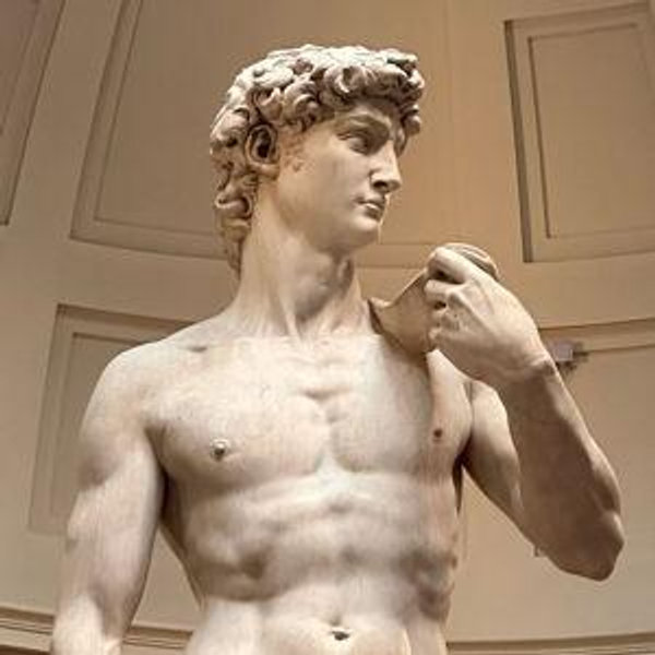 See Michelangelo's David at Galleria dell’Accademia