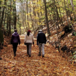 Harris Center for Conservation trails