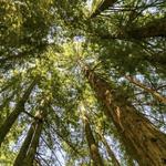 Visit Mendocino County