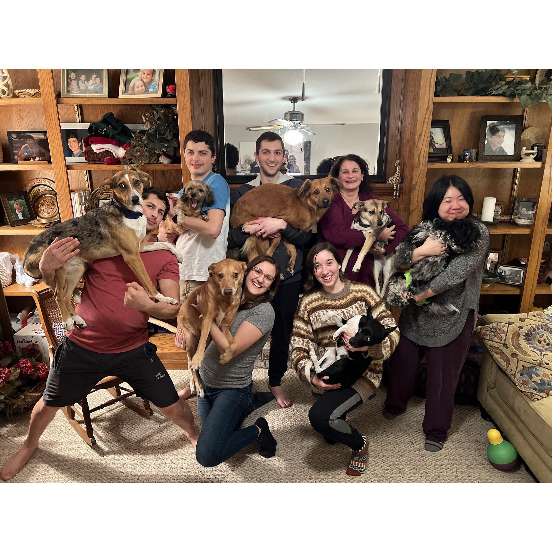Xmas Dogapalooza!