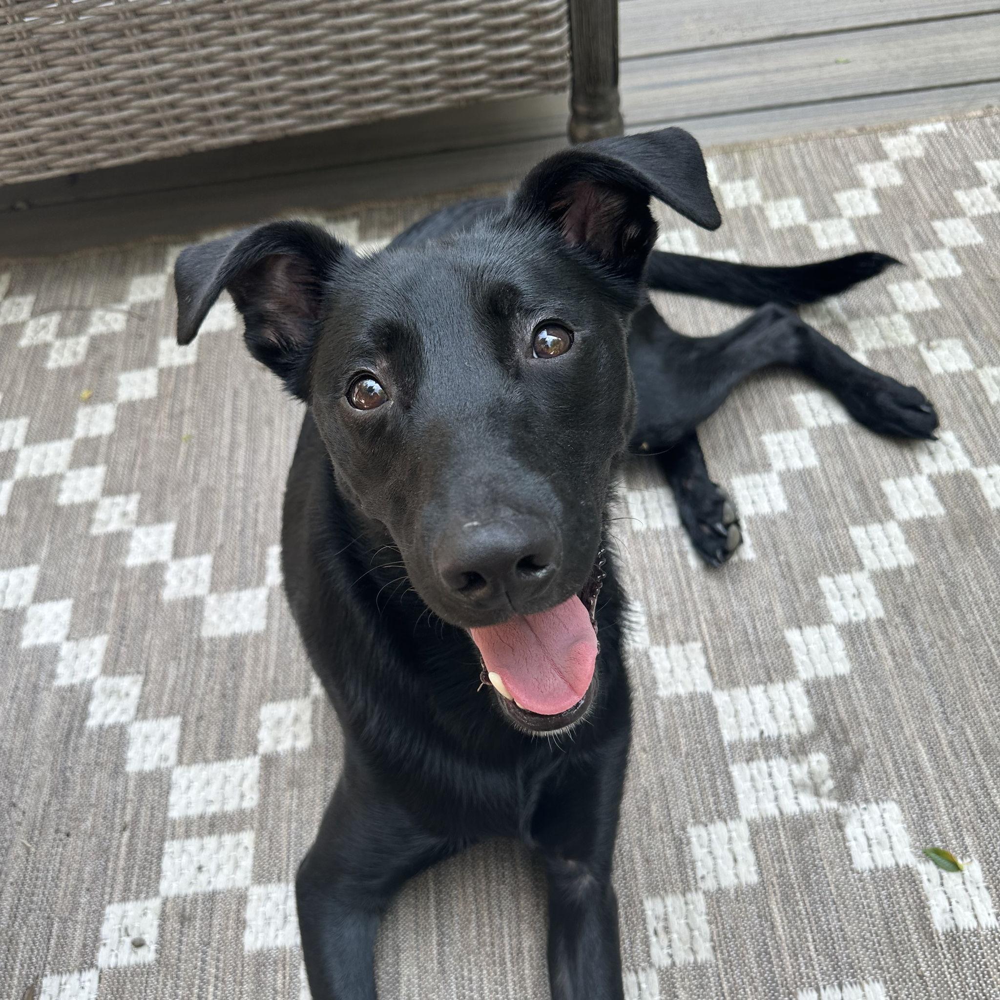 Theodore: the goofy one