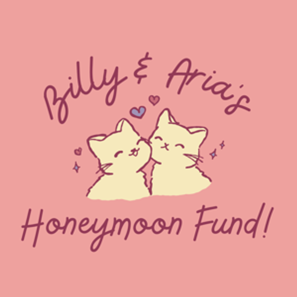 Honeymoon Fund!
