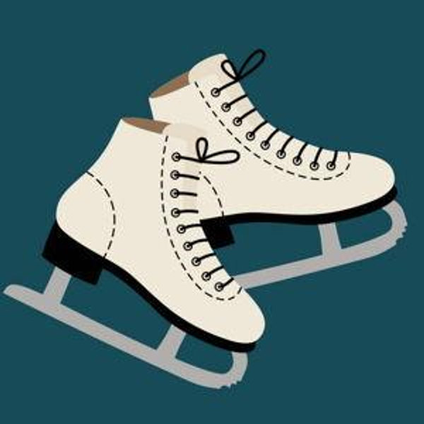 Ice Skating Lessons in Michigan