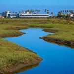 Tijuana River National Estuarine Research Reserve