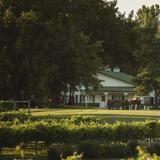Carlos Creek Winery