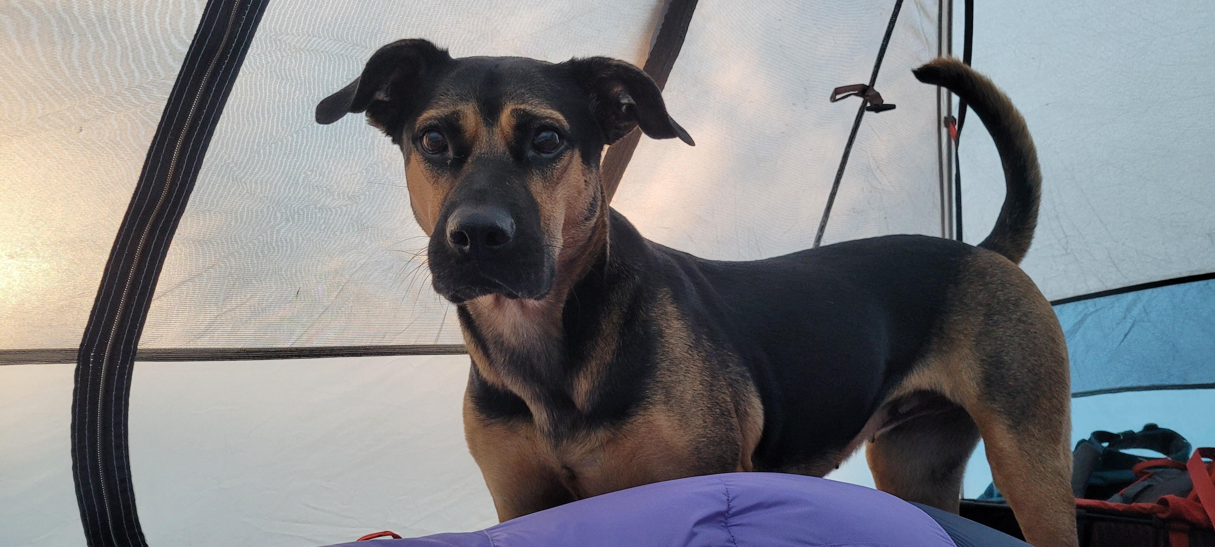 The Wedding Website of Brady Stepan and Emalie Parsons