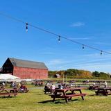 Lookout Farm Brewing & Cider Co. Taproom - Local to Venue