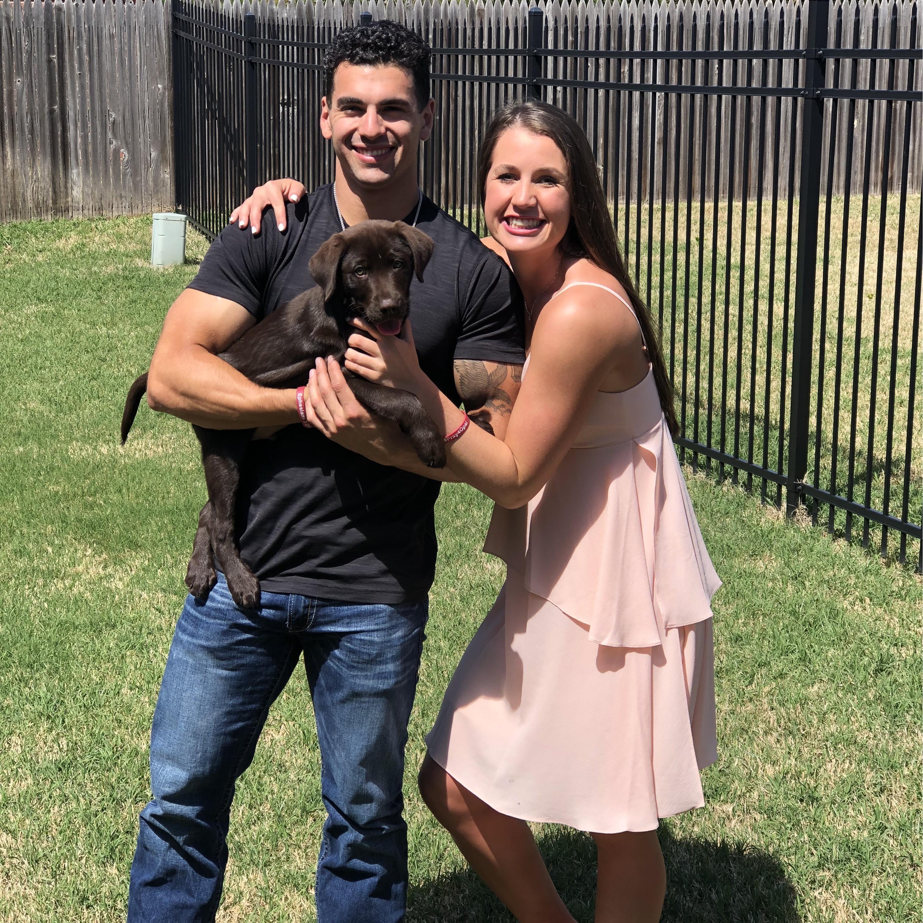 We bought a dog...