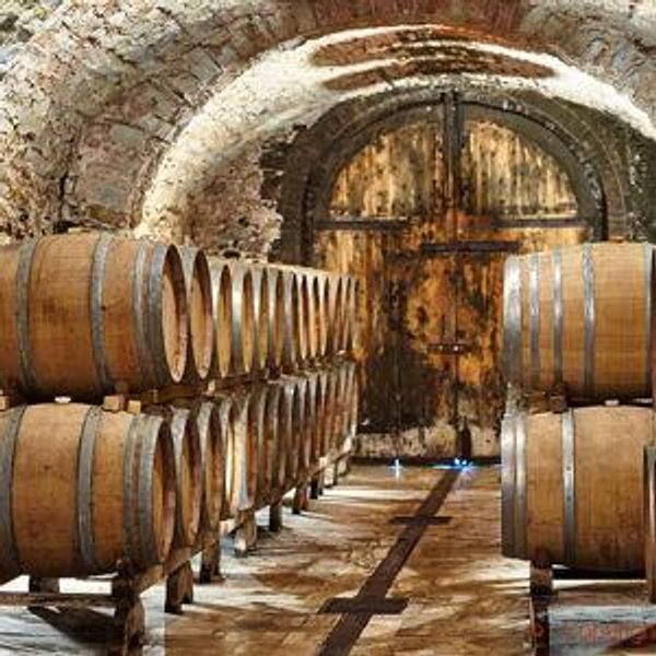 Vino Tour