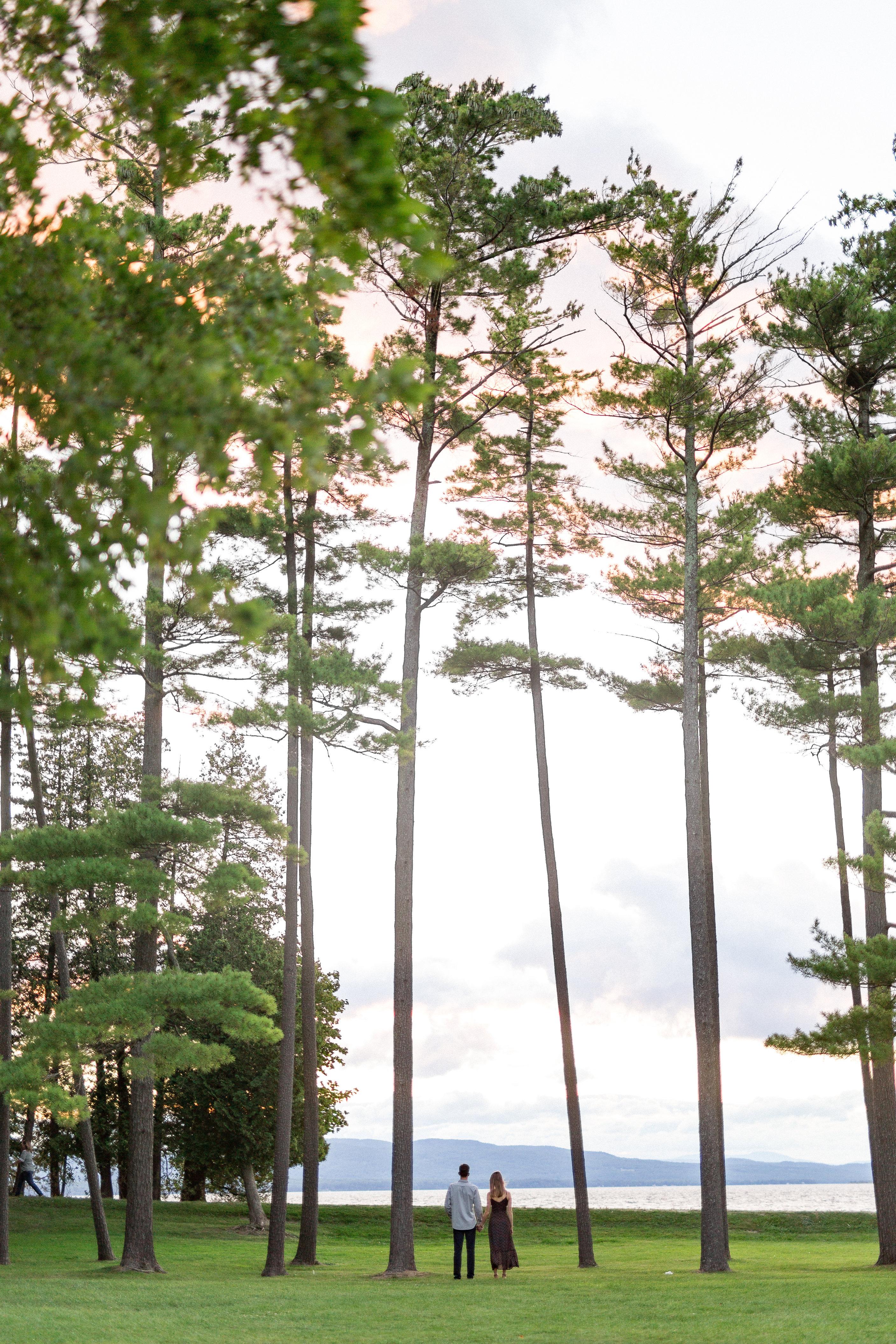 The Wedding Website of Bridget Vanzo and Dave Campbell