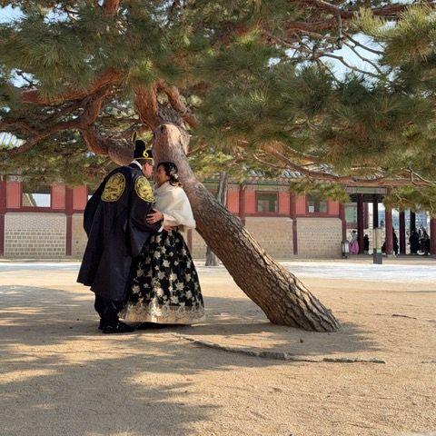 Korea Trip 2026