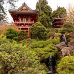 Japanese Tea Garden