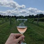 Sarah's Vineyard