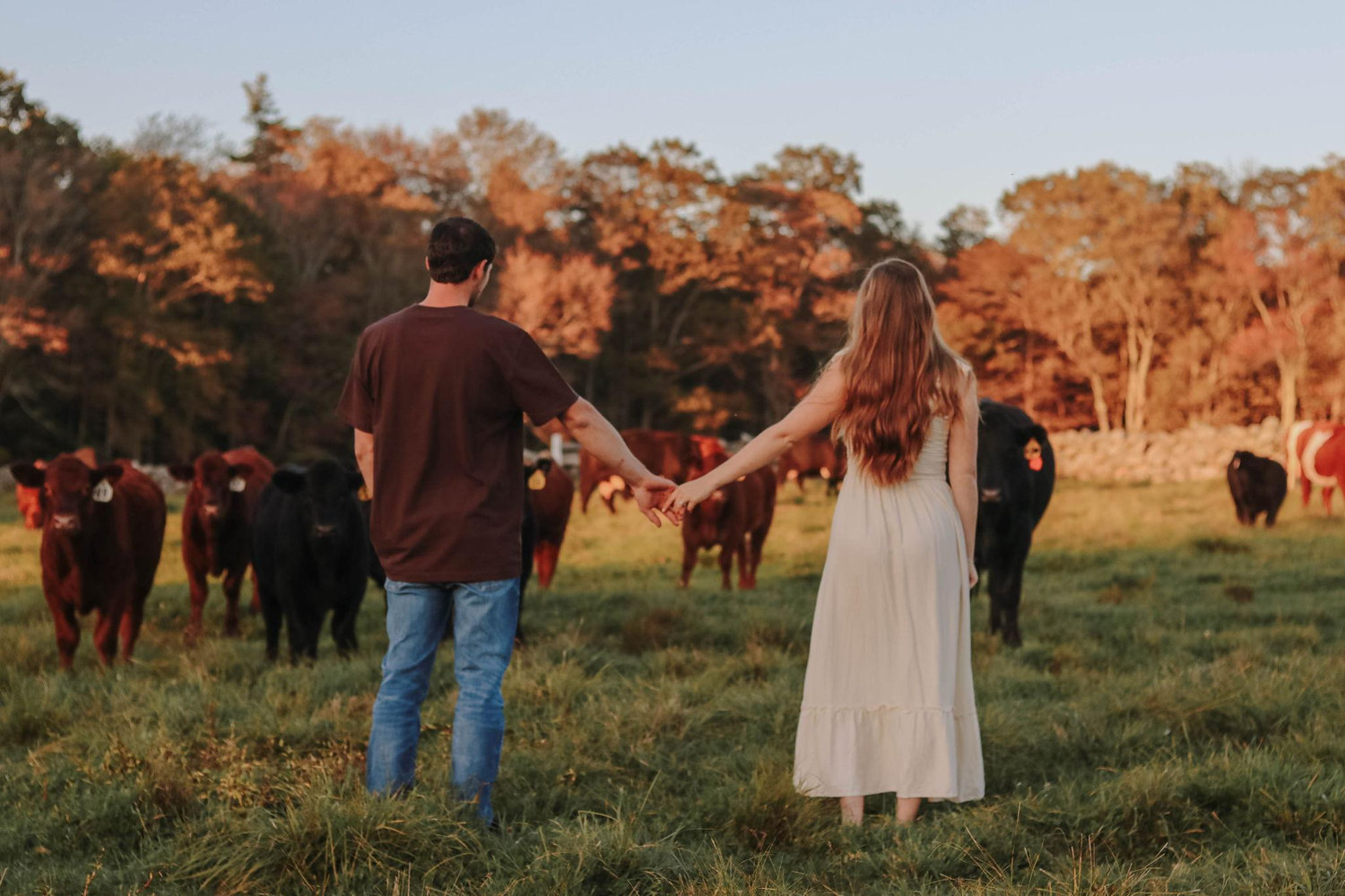 The Wedding Website of Kathryn Bertholic and Michael Brewer