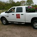 Rose Orchards Farm