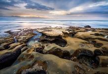 La Jolla Tide Pools