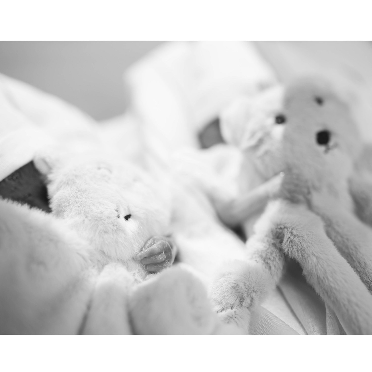We brought our beautiful baby boys into this world sleeping on May 29, 2024.