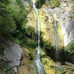 Salmon Creek Falls