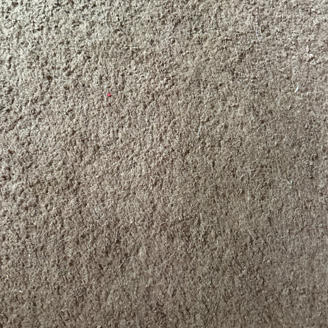 Home Project: Replacing the 70s Carpet