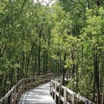 Parque Nacional Manglares de Old Point