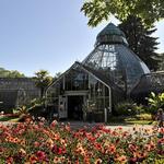 W.W. Seymour Botanical Conservatory