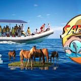 West OC Watersports