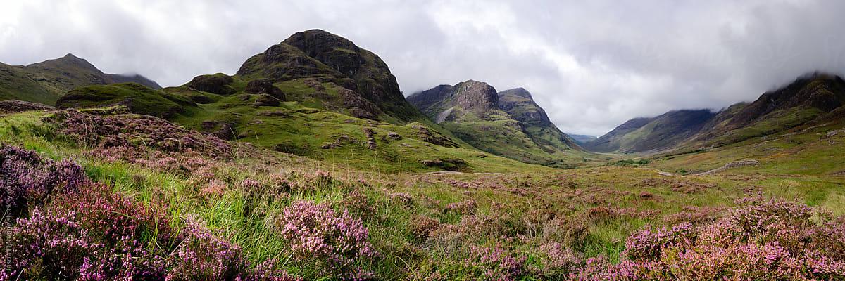 The Wedding Website of Tayber Lima and Shayne Furtado