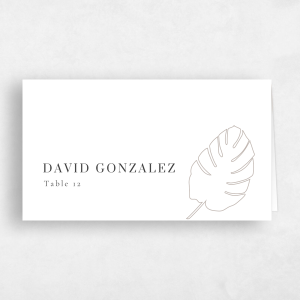 Talana | Neutral Greige | Zola Wedding Place Cards