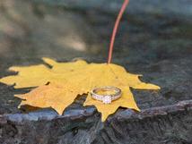 The Wedding Website of Amanda Pinheiro and Chip Bennett