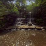 Zilker Botanical Garden